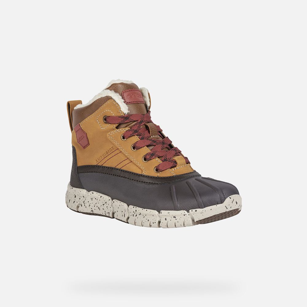 Botas Geox Menino Marrom - Flexyper Abx - HKLTW9023